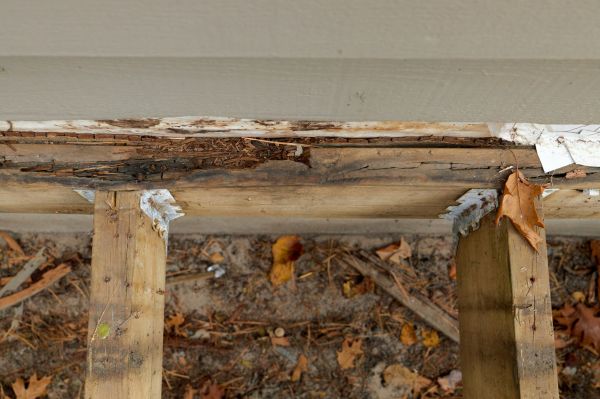 York Wood Rot Repair