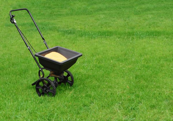 York Lawn Treatment