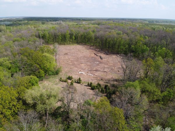 York Land Clearing