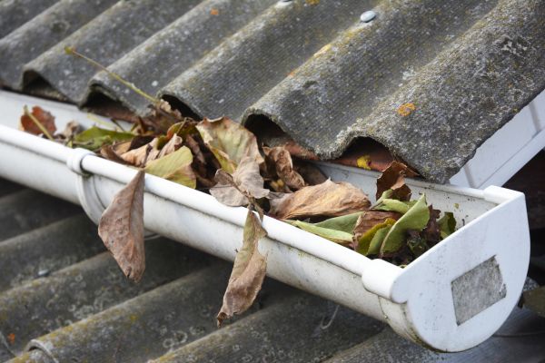 York Gutter Cleaning